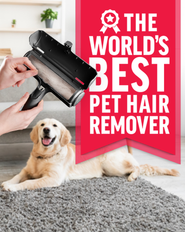 Chom Chom Pet Hair Remover Roller – Reusable Fur Cleaner Tool