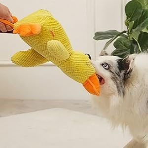 Calming Duck Dog Toy – Soft Plush Pillow with Quacking Sound