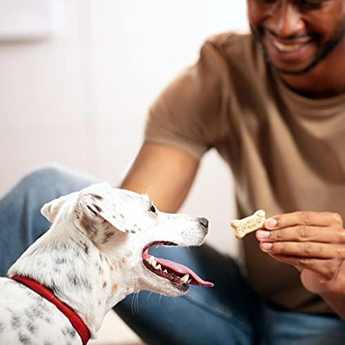 Milk-Bone Dog Treats – Original Crunchy Biscuits for Medium Dogs, 10 lb