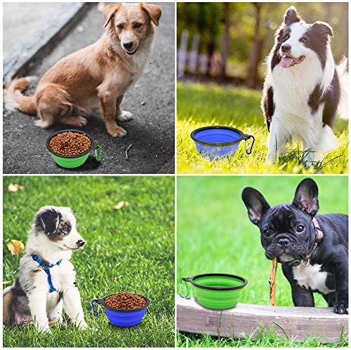 Collapsible Silicone Dog Bowl with Water Bottle – 2-in-1 Feeder