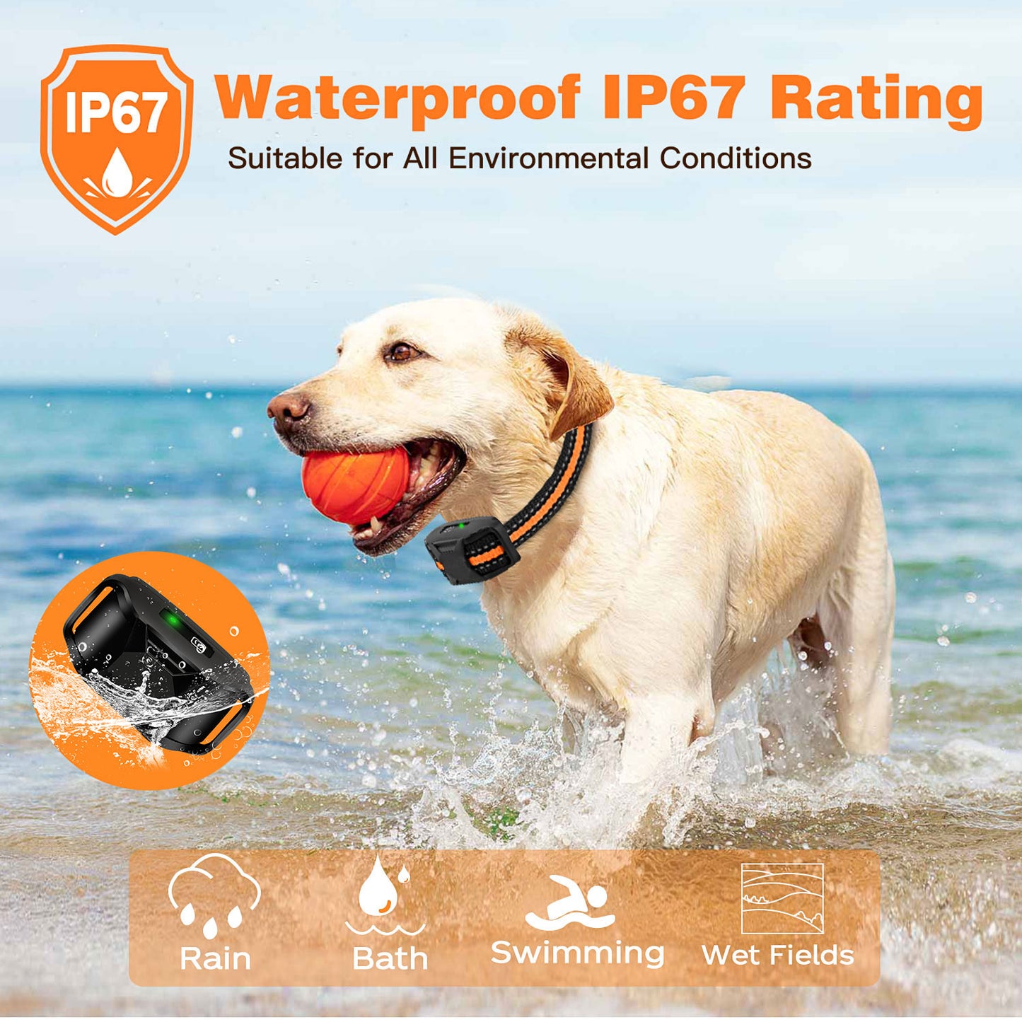 Waterproof Dog Training Collar with Remote – 3300Ft Shock & Vibration