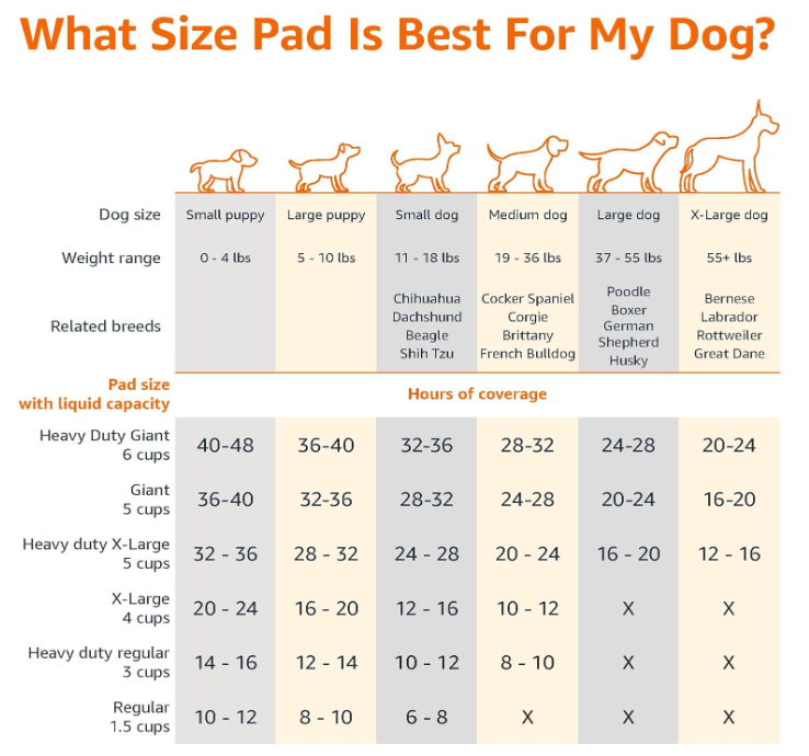 Basics Dog & Puppy Pee Pads – 5-Layer Leak-Proof Training Pads (100 Count)