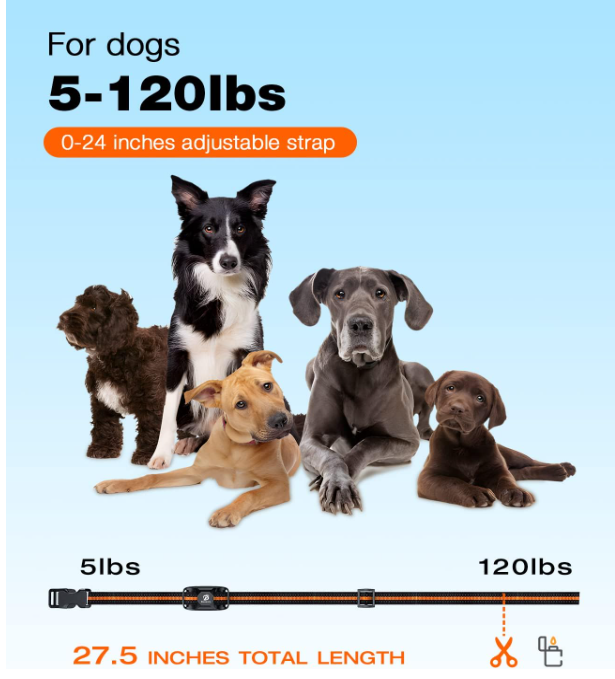 Waterproof Dog Training Collar with Remote – 3300Ft Shock & Vibration