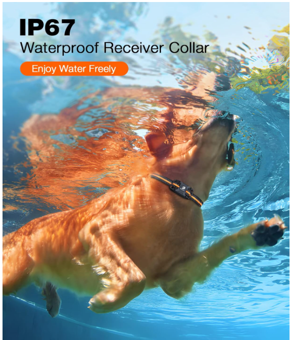 Waterproof Dog Training Collar with Remote – 3300Ft Shock & Vibration