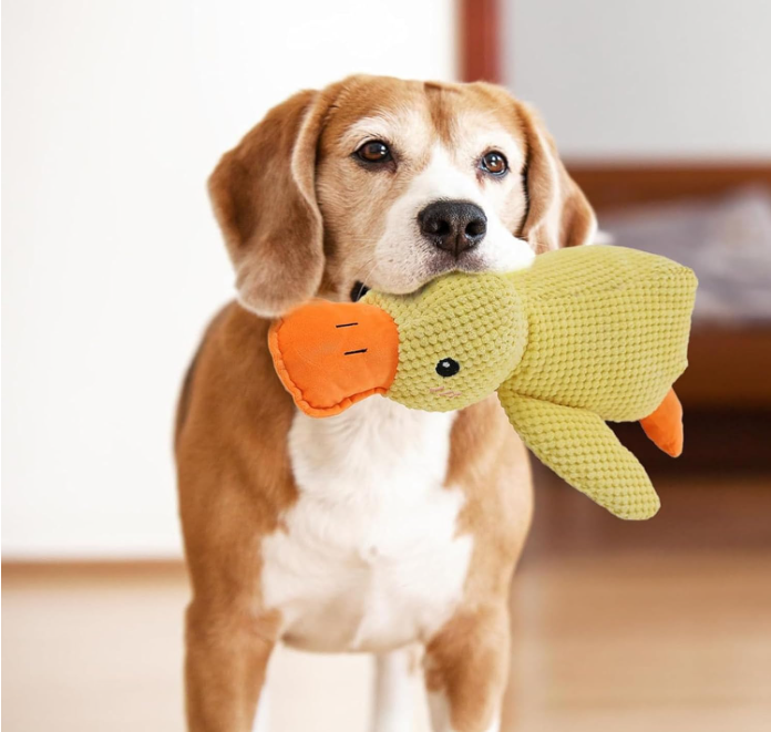 Calming Duck Dog Toy – Soft Plush Pillow with Quacking Sound