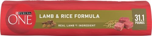 Purina ONE Lamb & Rice Dry Dog Food – 31.1 lb Bag