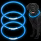 LED Dog Collar – USB Rechargeable Light-Up Safety Necklace