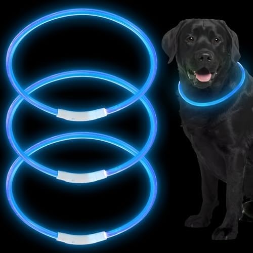 LED Dog Collar – USB Rechargeable Light-Up Safety Necklace