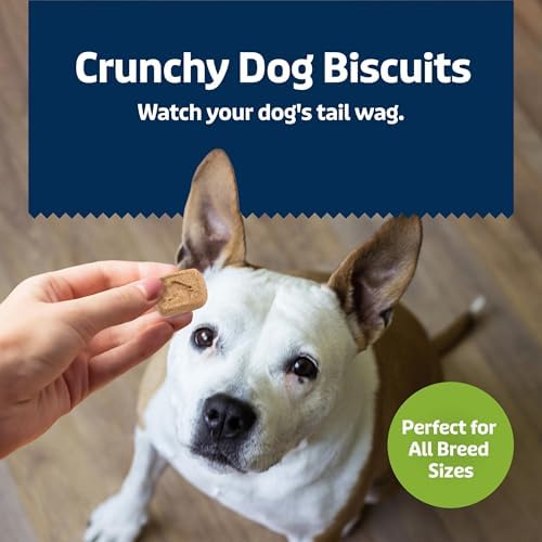 Blue Buffalo Mini Dog Treats – Apple & Yogurt Crunchy Biscuits
