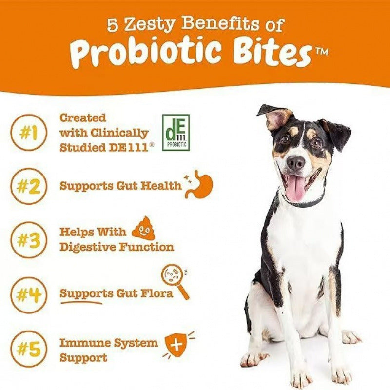 Probiotic Chews for Dogs & Cats – Digestive & Gut Health 315g