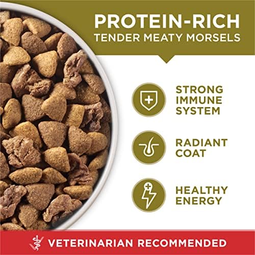 Purina ONE Lamb & Rice Dry Dog Food – 31.1 lb Bag