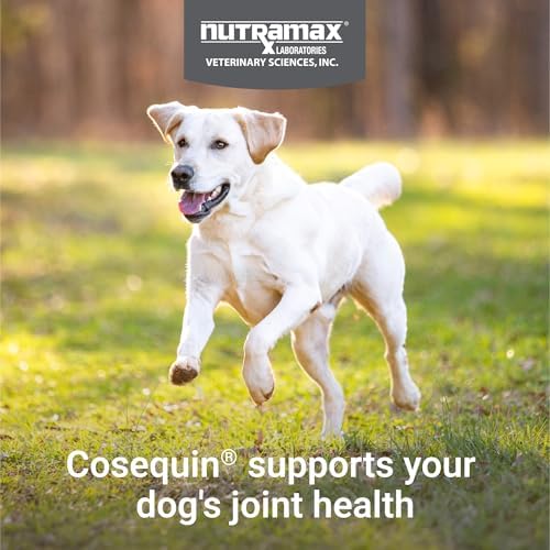 Cosequin Joint Health Supplement for Dogs – 132 Chewable Tablets