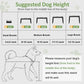XIAZ Elevated Dog Bowls – Adjustable Raised Feeder Stand