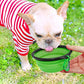Collapsible Silicone Dog Bowl with Water Bottle – 2-in-1 Feeder