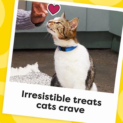 Temptations Cat Treats – Chicken Flavor Crunchy & Soft Snacks, 30 oz