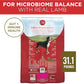 Purina ONE Lamb & Rice Dry Dog Food – 31.1 lb Bag