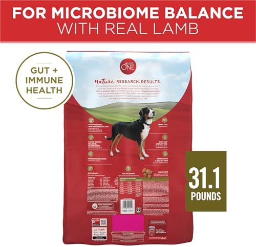 Purina ONE Lamb & Rice Dry Dog Food – 31.1 lb Bag
