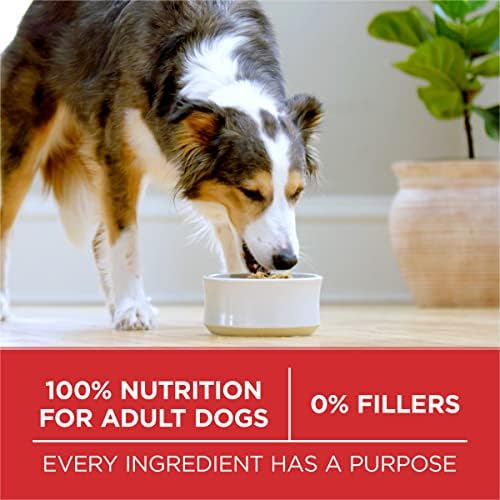 Purina ONE Lamb & Rice Dry Dog Food – 31.1 lb Bag