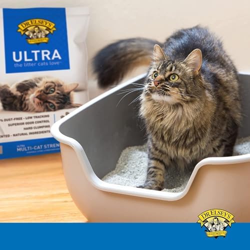 Dr. Elsey's Ultra Clumping Cat Litter, Unscented, Low Dust, 18 lb Bag