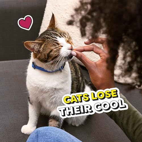 Temptations Cat Treats – Chicken Flavor Crunchy & Soft Snacks, 30 oz