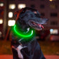 LED Dog Collar – USB Rechargeable Light-Up Safety Necklace