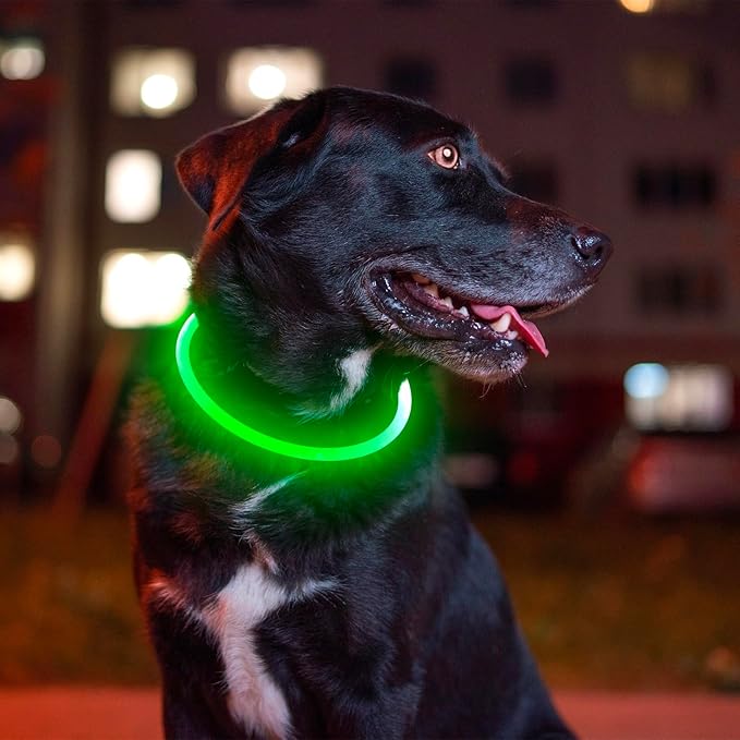 LED Dog Collar – USB Rechargeable Light-Up Safety Necklace