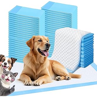 Basics Dog & Puppy Pee Pads – 5-Layer Leak-Proof Training Pads (100 Count)