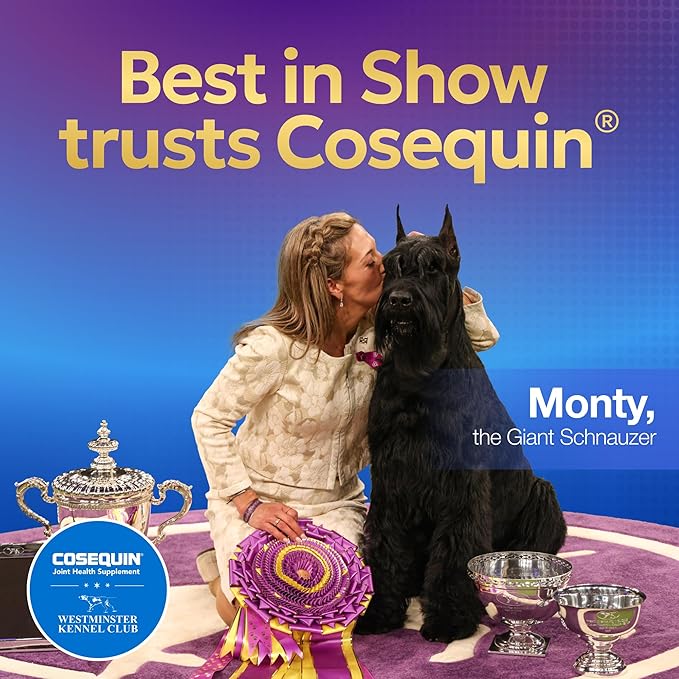 Cosequin Joint Health Supplement for Dogs – 132 Chewable Tablets