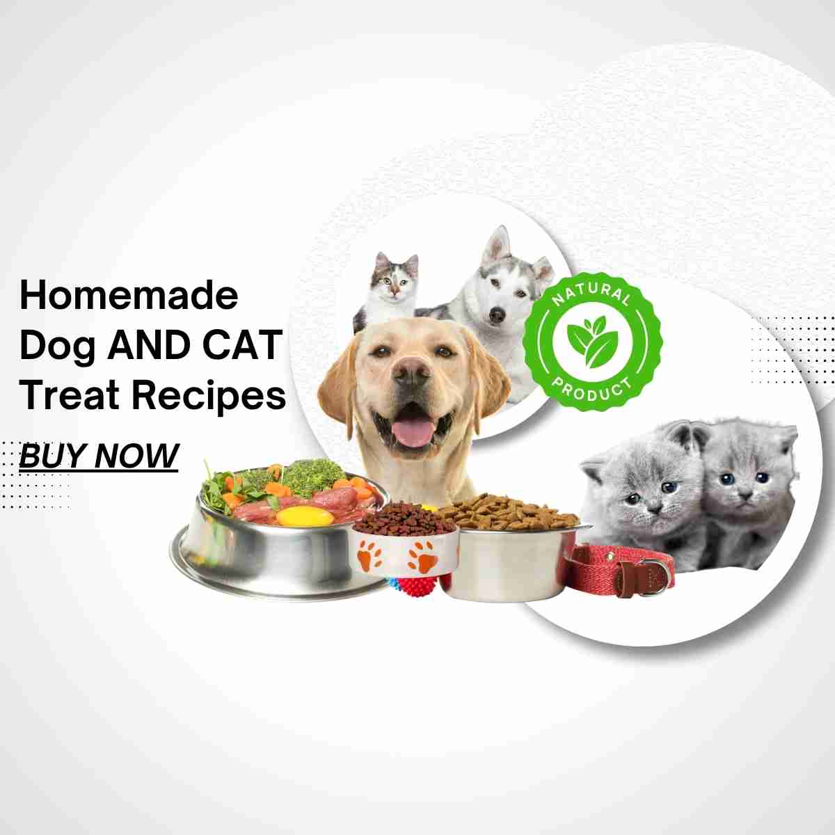 Advertisement for homemade dog and cat treat recipes with images of a dog, cats, and food bowls.