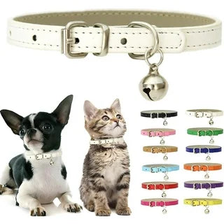 Pet collars with colorful charms and a bell, featuring a dog and cat model.