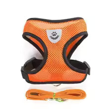 Adjustable Cat & Small Dog Harness with Leash – Soft Mesh Vest
