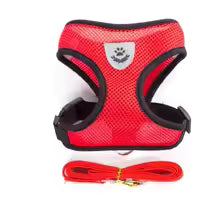 Adjustable Cat & Small Dog Harness with Leash – Soft Mesh Vest