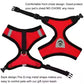 Adjustable Cat & Small Dog Harness with Leash – Soft Mesh Vest