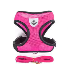 Adjustable Cat & Small Dog Harness with Leash – Soft Mesh Vest