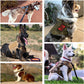 Large Dog Harness & Leash Set with MOLLE Pouches – Training Vest