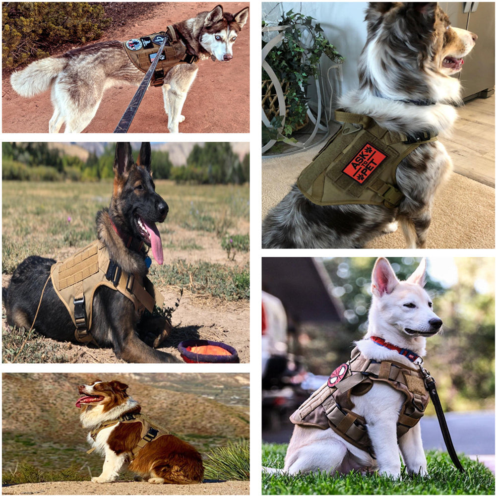 Large Dog Harness & Leash Set with MOLLE Pouches – Training Vest