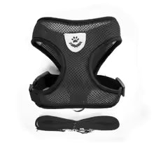 Adjustable Cat & Small Dog Harness with Leash – Soft Mesh Vest