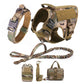 Large Dog Harness & Leash Set with MOLLE Pouches – Training Vest