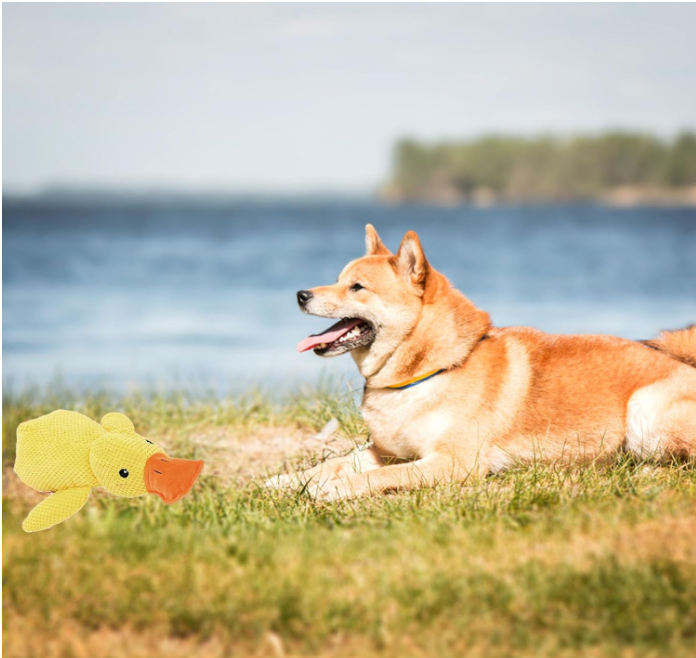 Calming Duck Dog Toy – Soft Plush Pillow with Quacking Sound