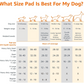 Basics Dog & Puppy Pee Pads – 5-Layer Leak-Proof Training Pads (100 Count)