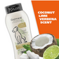 Wahl USA Dog Shampoo – Oatmeal, Coconut & Lime for Itchy Skin