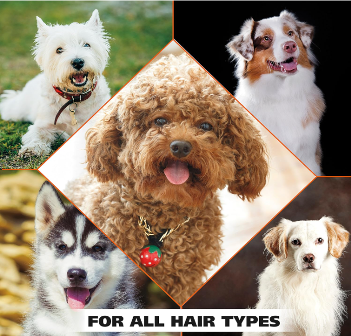 Wahl USA Dog Shampoo – Oatmeal, Coconut & Lime for Itchy Skin