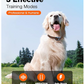 Waterproof Dog Training Collar with Remote – 3300Ft Shock & Vibration