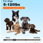 Waterproof Dog Training Collar with Remote – 3300Ft Shock & Vibration