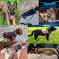 Large Dog Harness & Leash Set with MOLLE Pouches – Training Vest