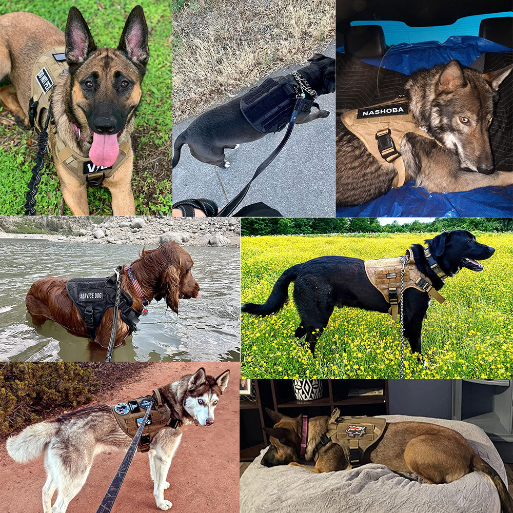 Large Dog Harness & Leash Set with MOLLE Pouches – Training Vest