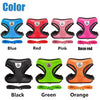 Adjustable Cat & Small Dog Harness with Leash – Soft Mesh Vest