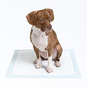 Basics Dog & Puppy Pee Pads – 5-Layer Leak-Proof Training Pads (100 Count)