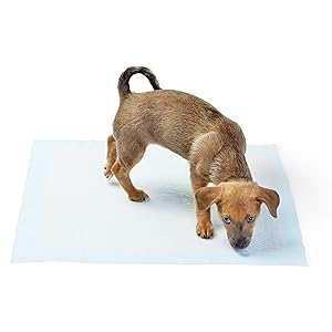 Basics Dog & Puppy Pee Pads – 5-Layer Leak-Proof Training Pads (100 Count)