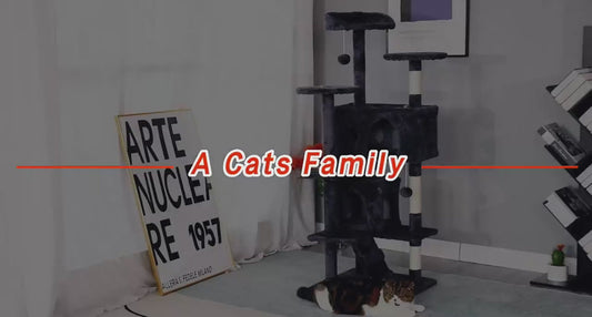 54-Inch Cat Tree Tower – Multi-Level Condo & Scratching Post